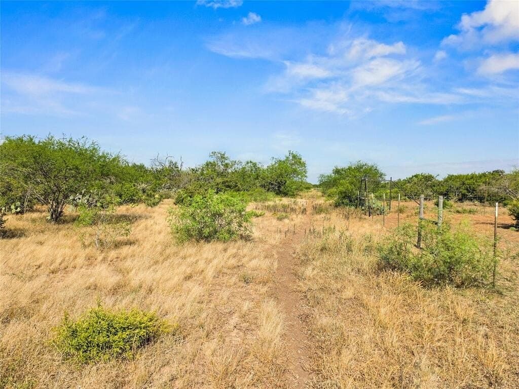 13.15 acres in Jim Wells County - photo 7