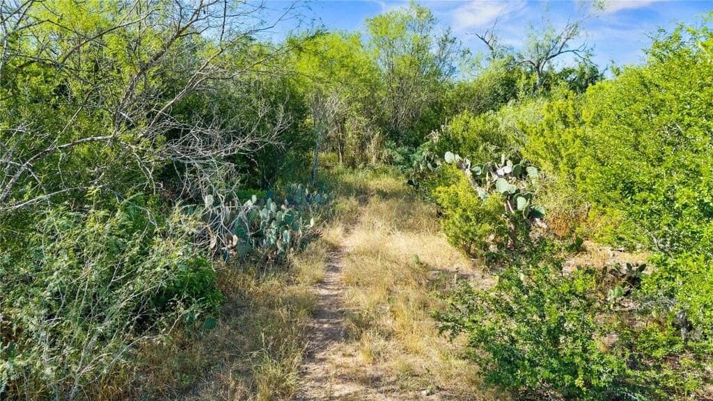 13.15 acres in Jim Wells County - photo 19