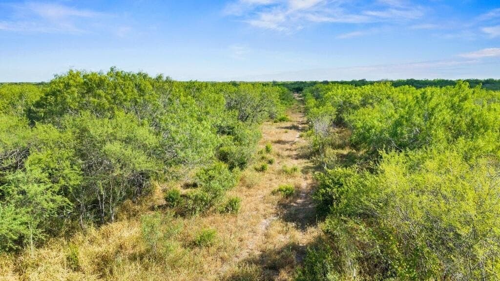 13.15 acres in Jim Wells County - photo 24