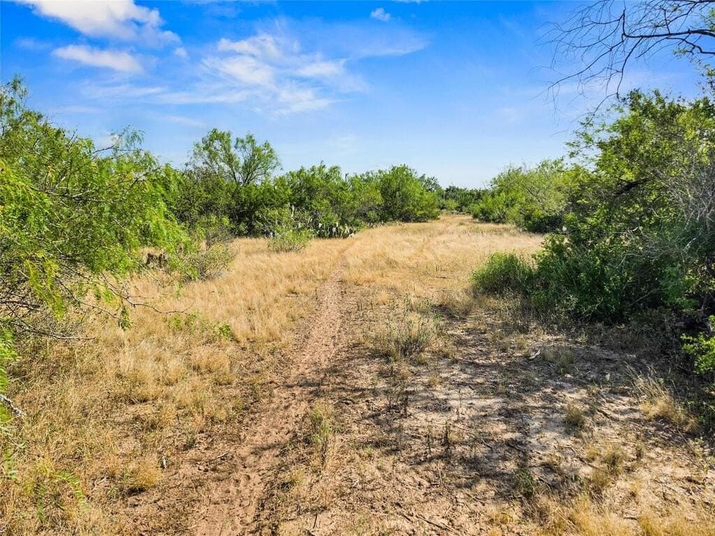 13.15 acres in Jim Wells County - photo 11