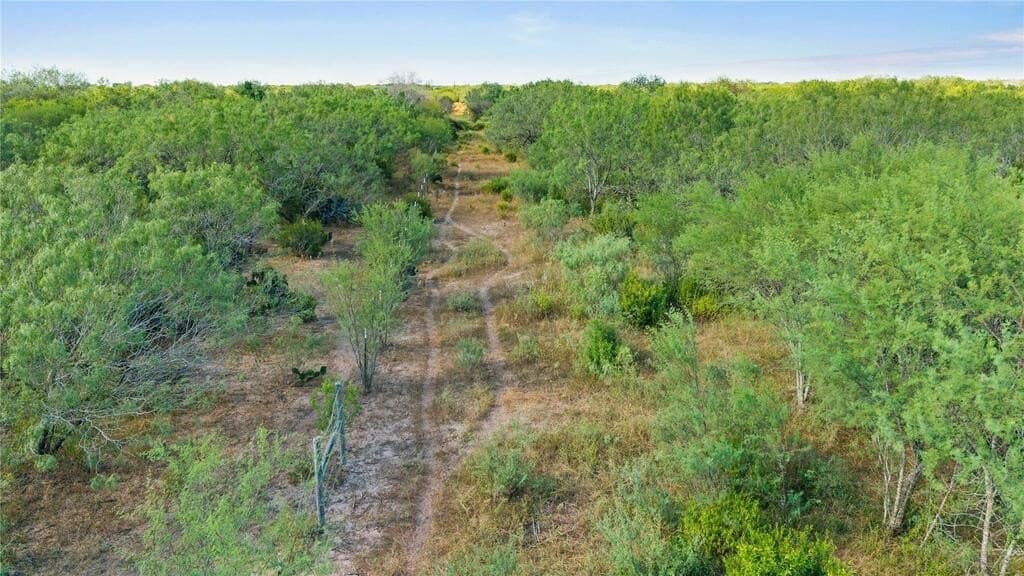 13.15 acres in Jim Wells County - photo 17