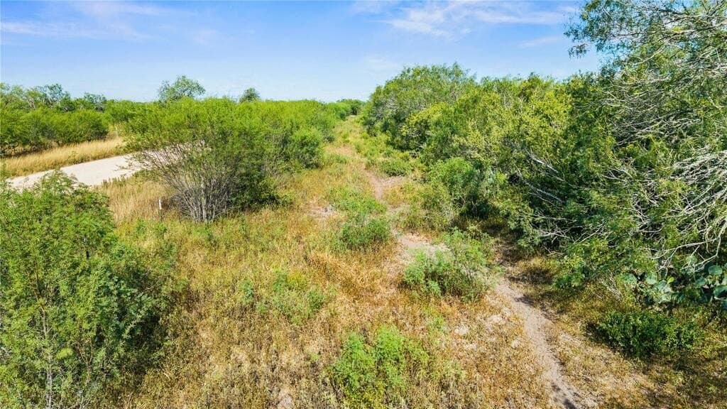 13.15 acres in Jim Wells County - photo 23