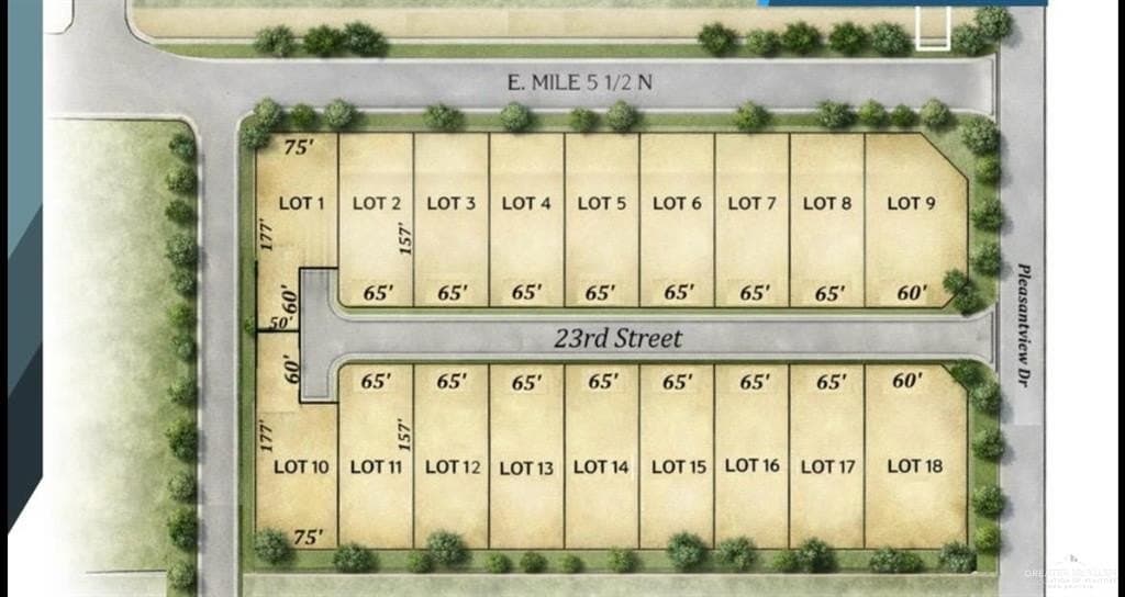 0.31 acres in Hidalgo County gallery image 2