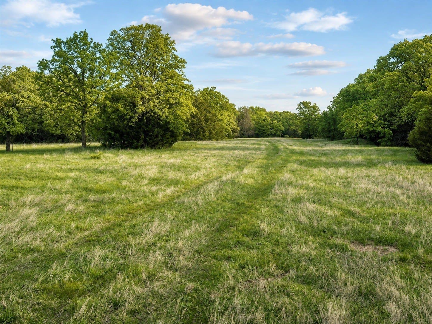 12 acres in Montague County - photo 4