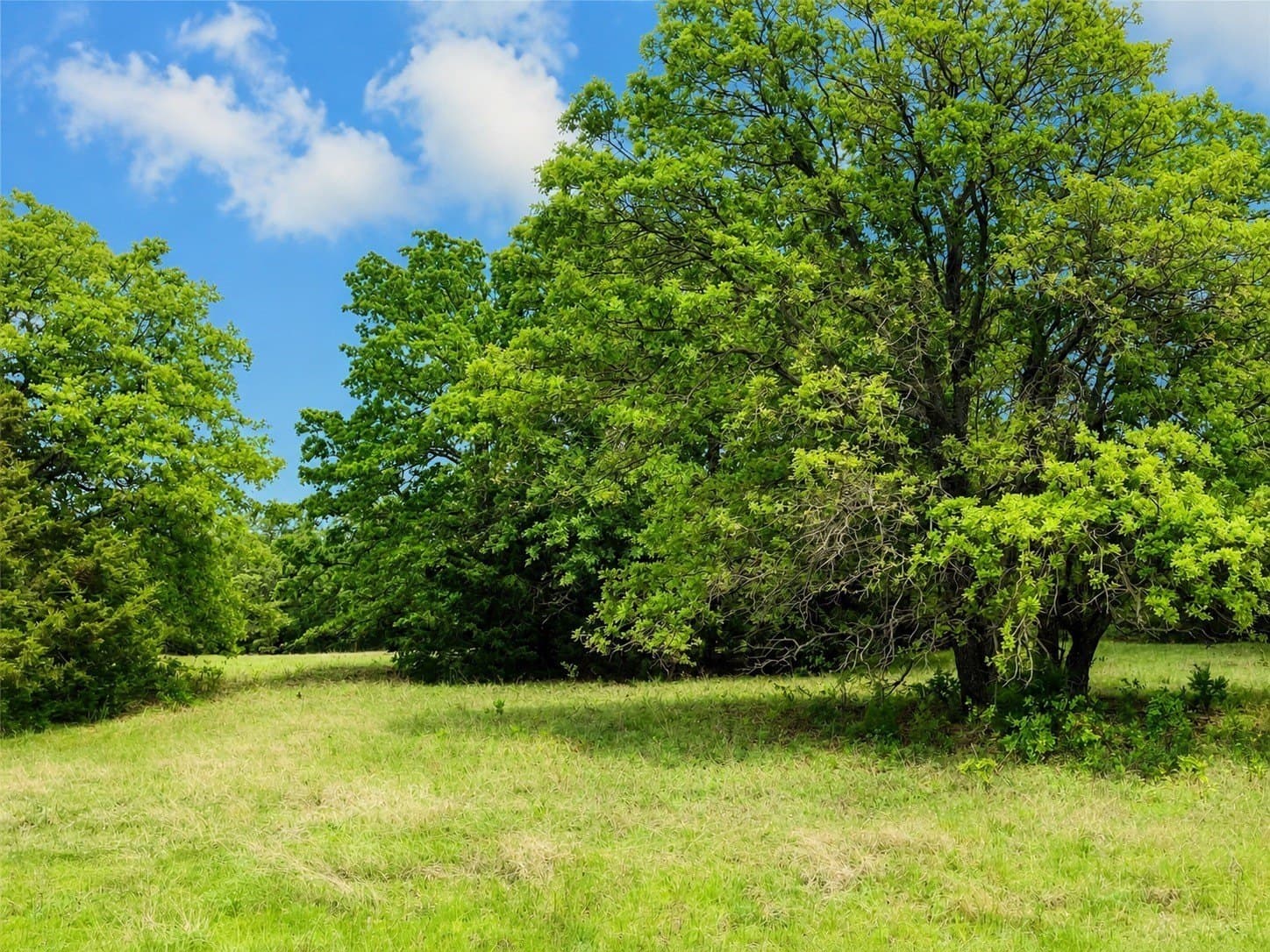 12 acres in Montague County - photo 2