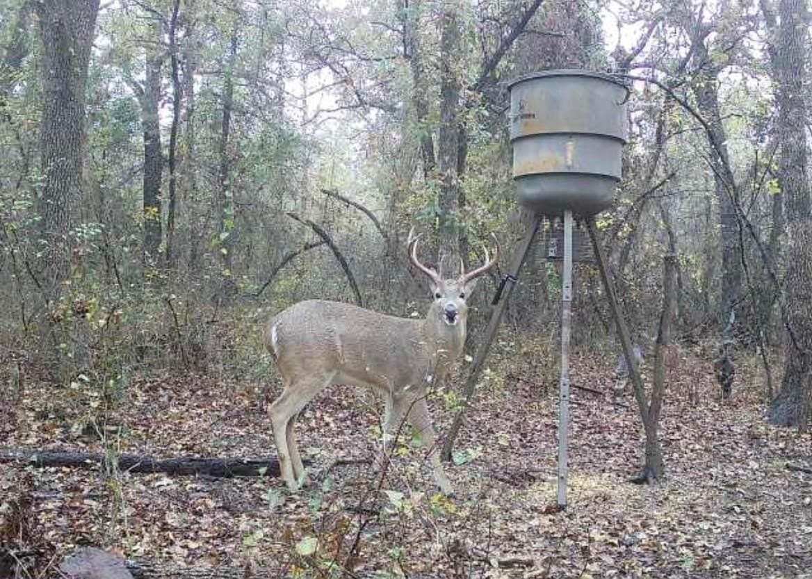 12 acres in Montague County - photo 7