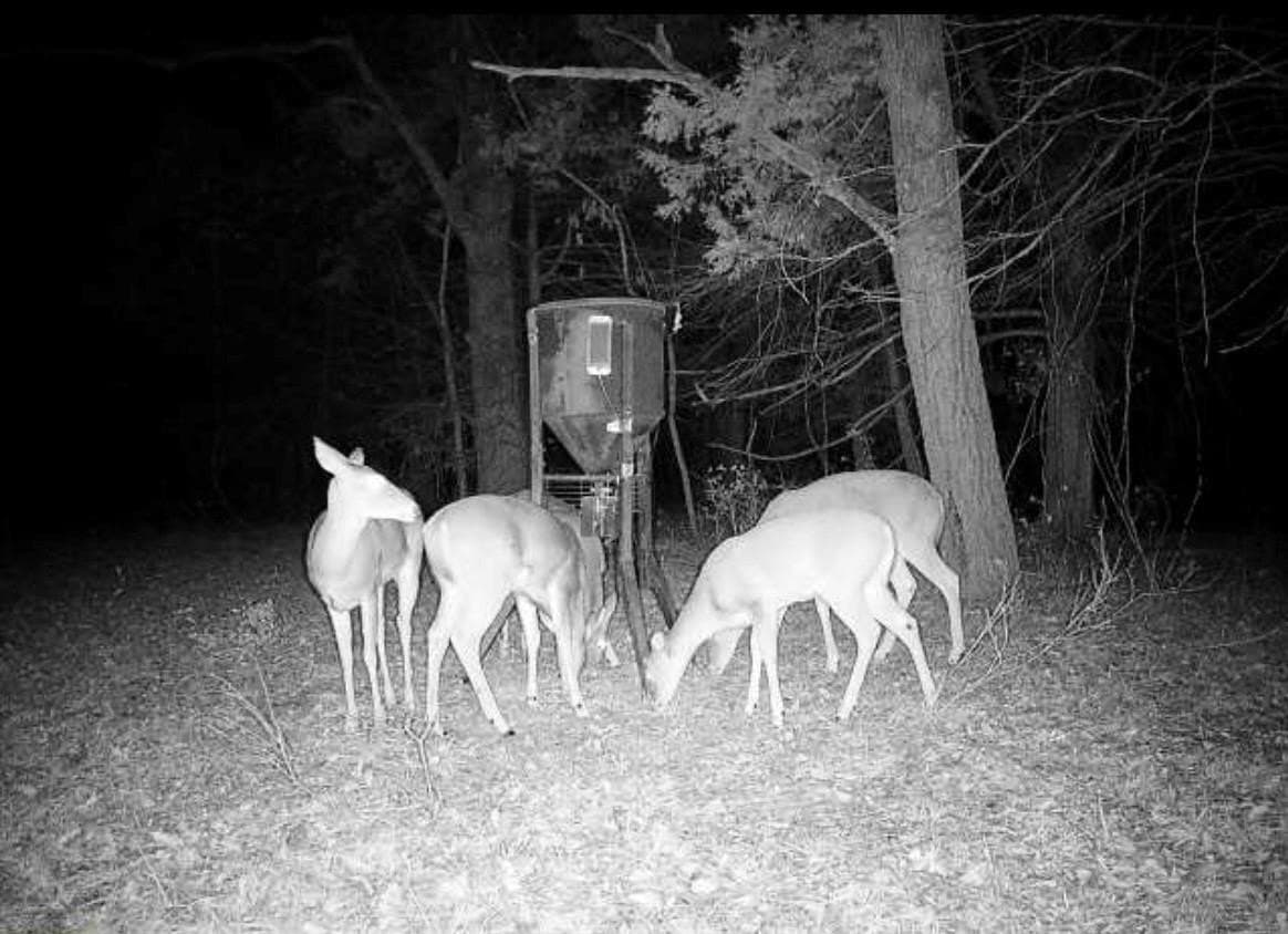 12 acres in Montague County - photo 8
