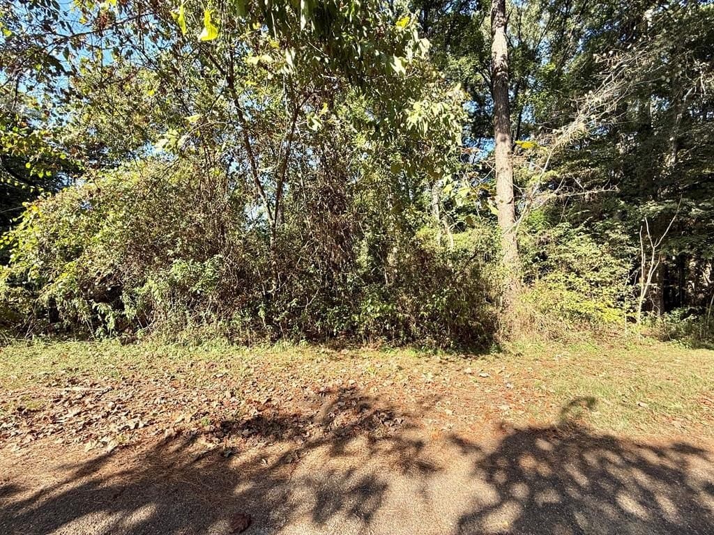 0.51 acres in Texas County