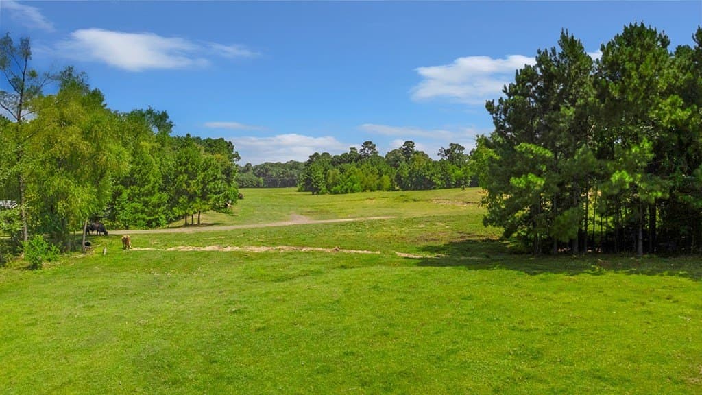 42.24 acres in Texas County gallery image 4
