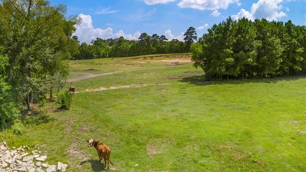 42.24 acres in Texas County featured view