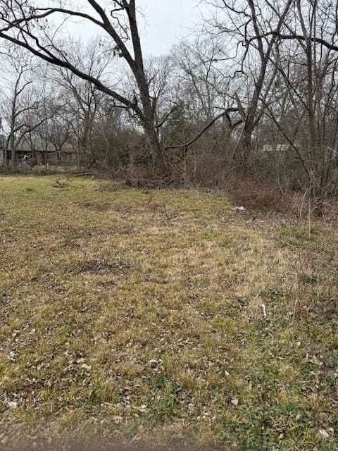 0.2 acres in Fannin County gallery image 4