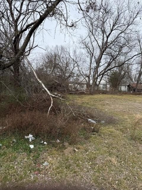 0.2 acres in Fannin County gallery image 2