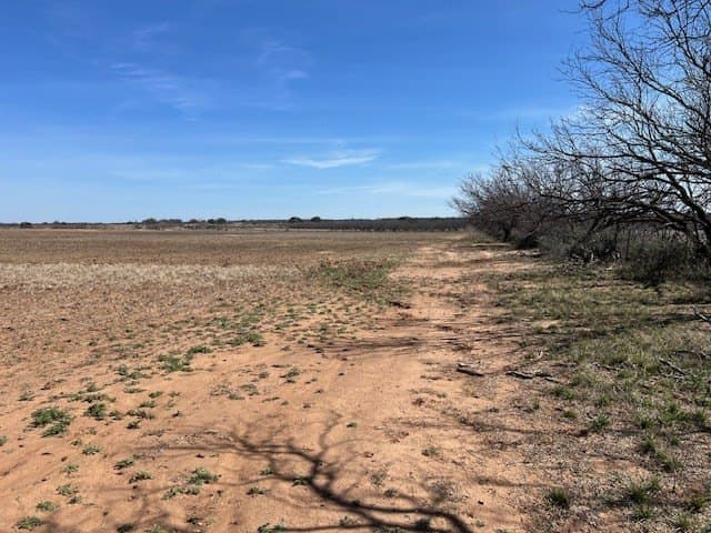 111.14 acres in McCulloch County - photo 16