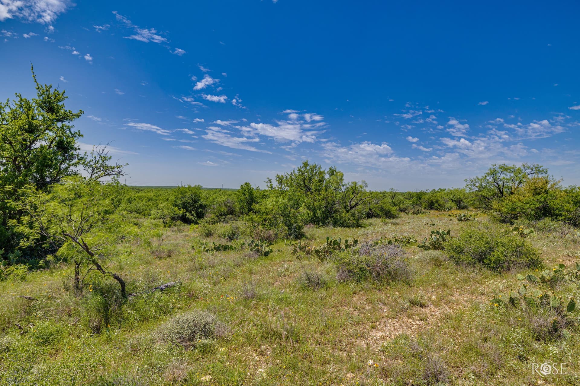 480 acres in McCulloch County - photo 29