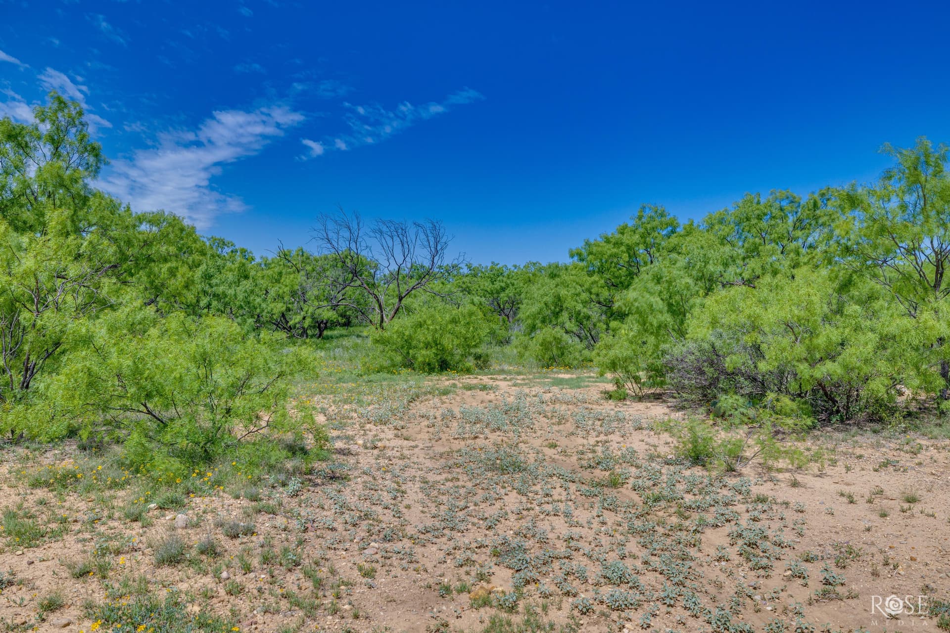 480 acres in McCulloch County - photo 27