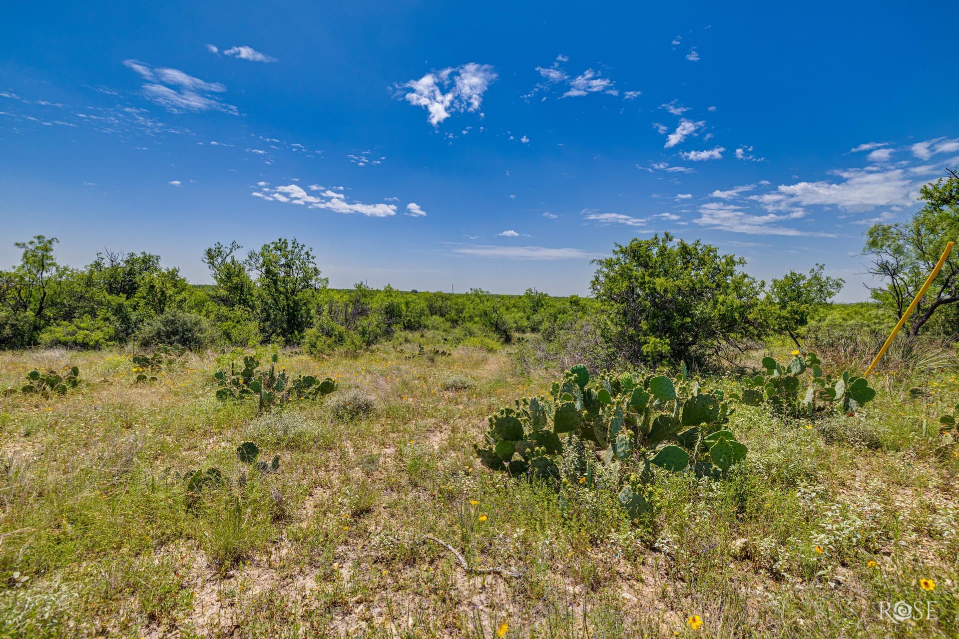 480 acres in McCulloch County - photo 31