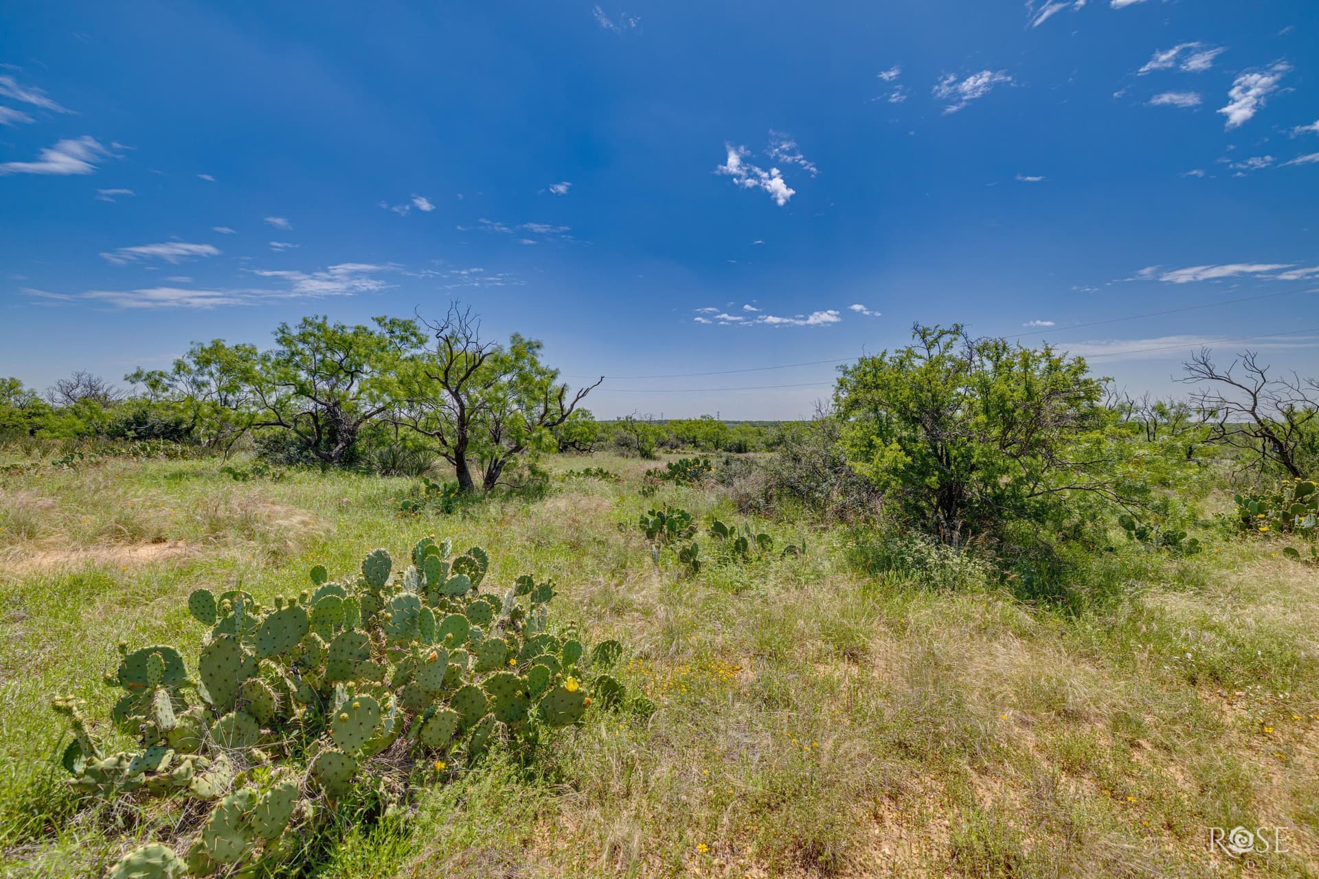 480 acres in McCulloch County - photo 33