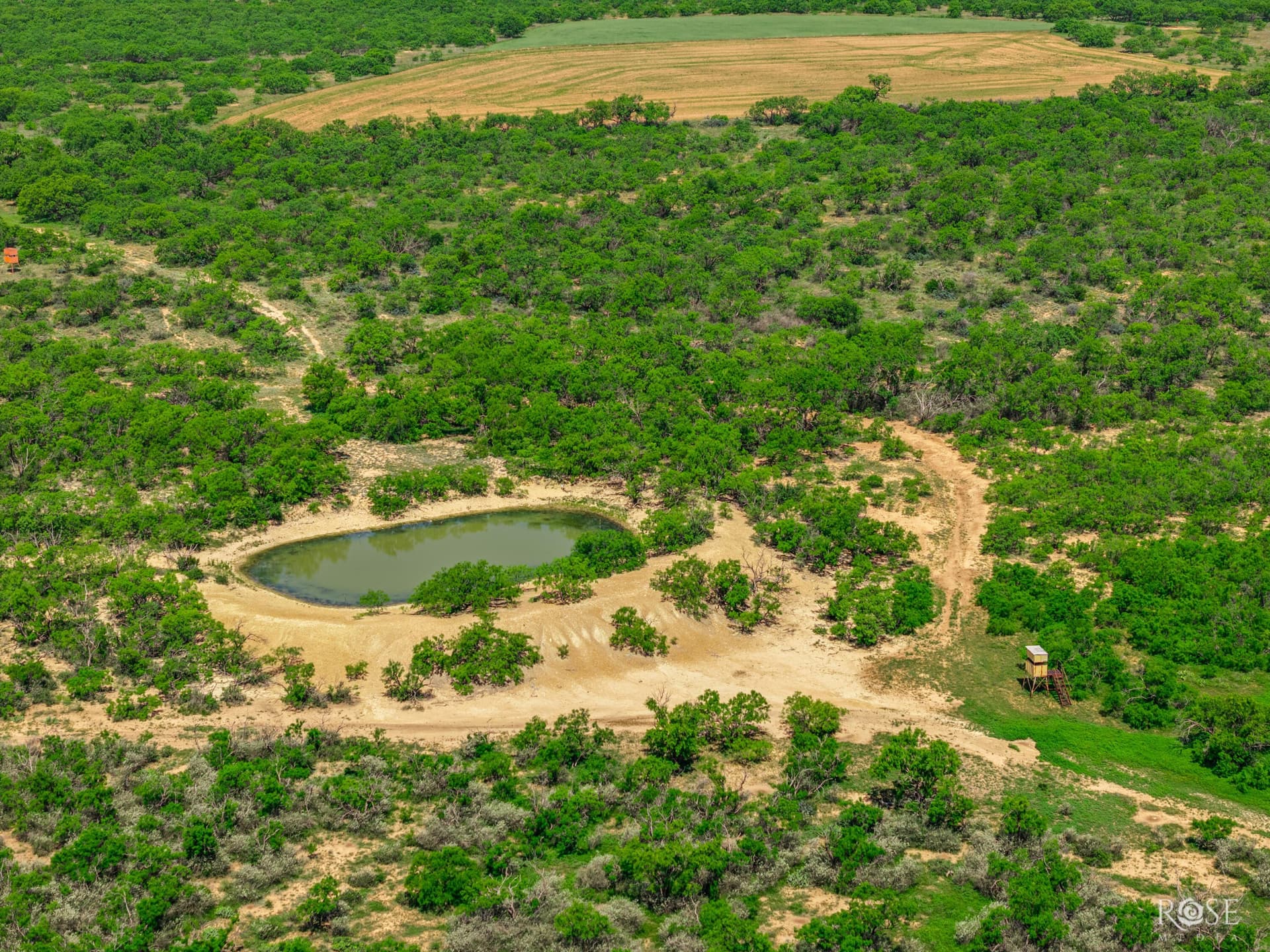480 acres in McCulloch County gallery image 4