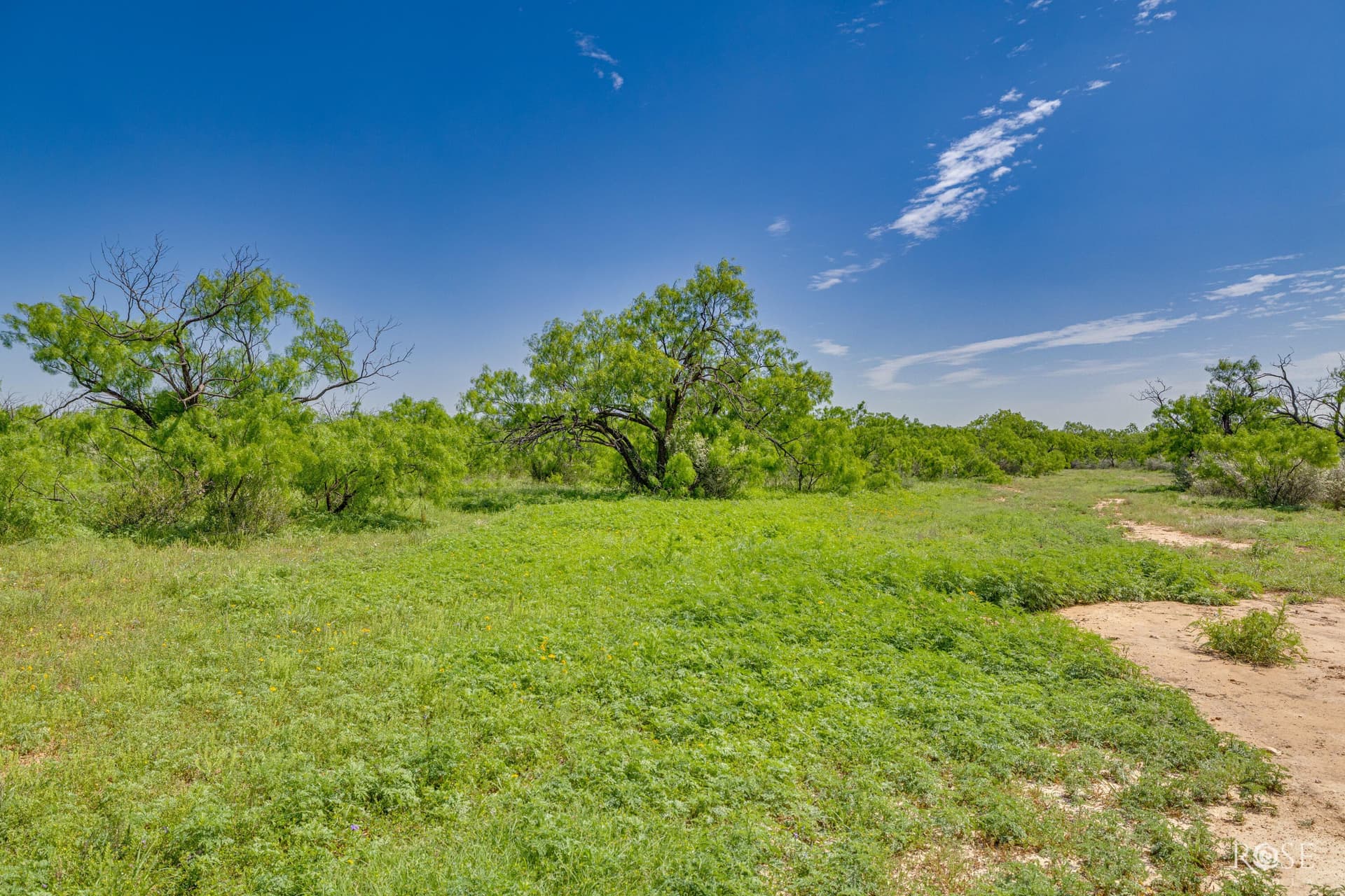 480 acres in McCulloch County - photo 25