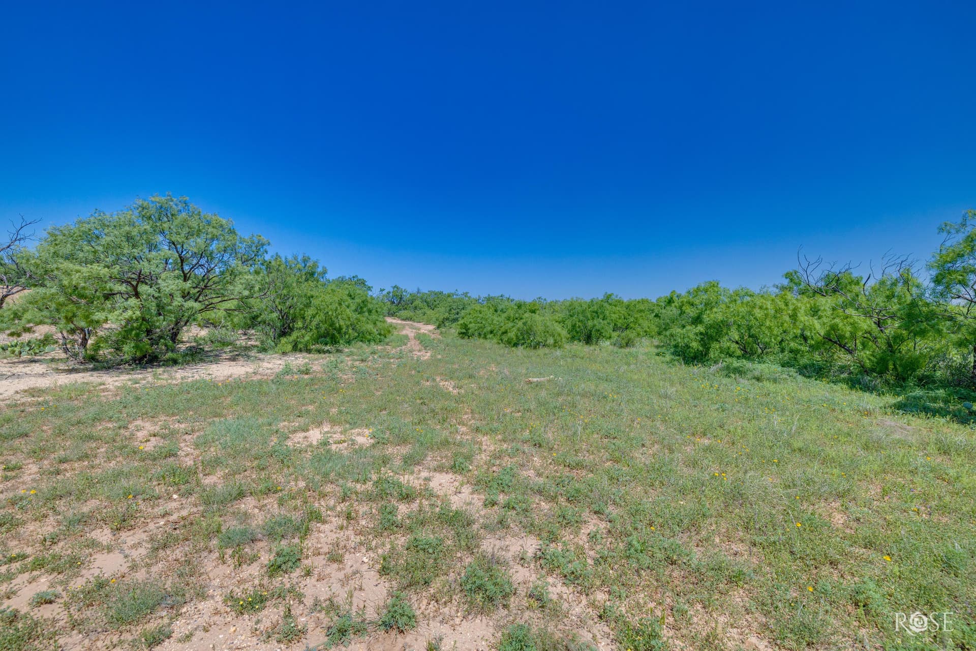 480 acres in McCulloch County - photo 24