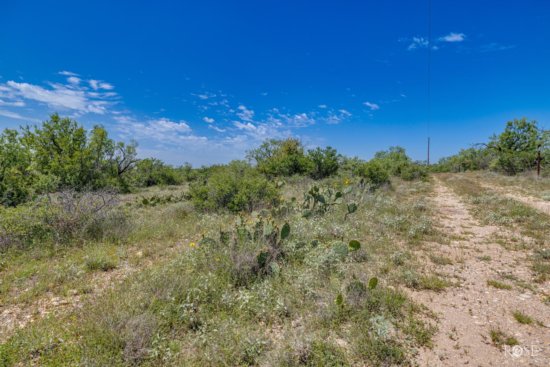 480 acres in McCulloch County - photo 30