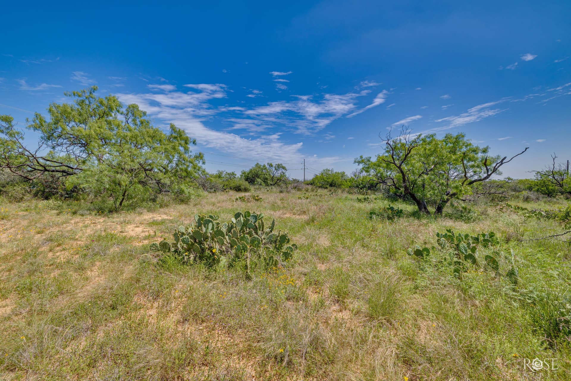 480 acres in McCulloch County - photo 32