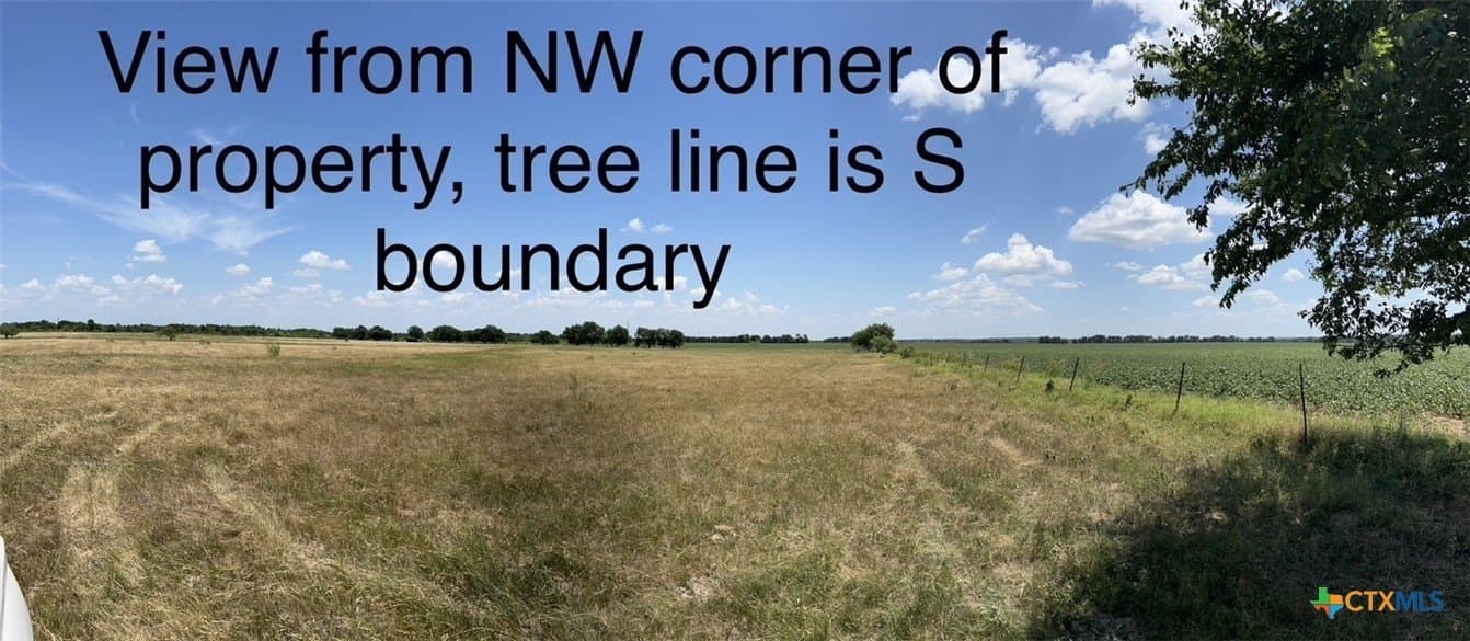 21.32 acres in Milam County gallery image 4