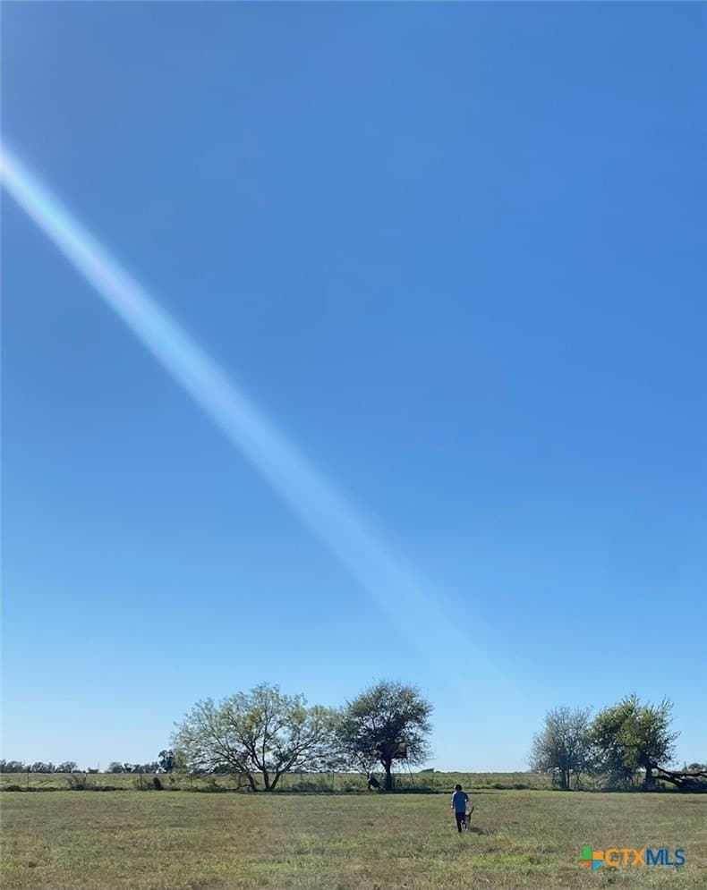 21.32 acres in Milam County gallery image 3