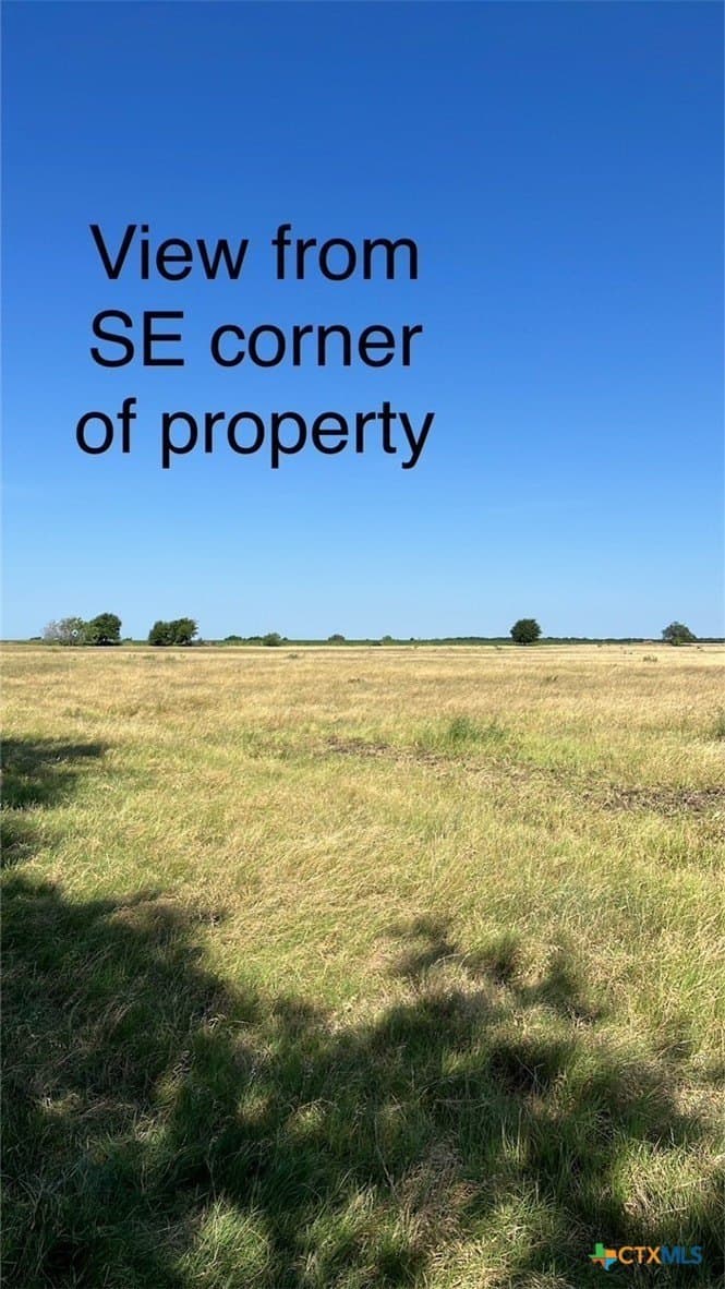 21.32 acres in Milam County gallery image 2