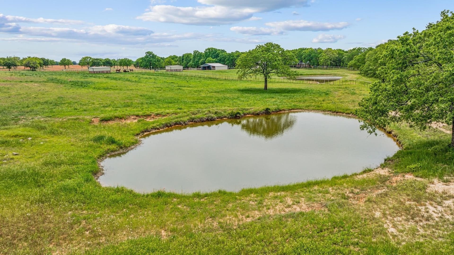 15.92 acres in Parker County gallery image 4
