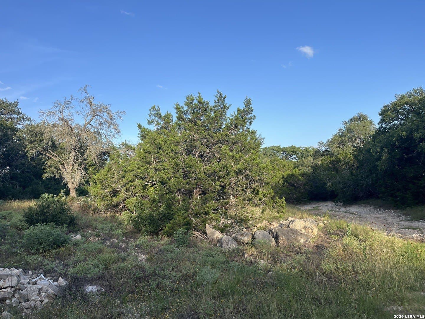 0.5 acres in Comal County gallery image 2