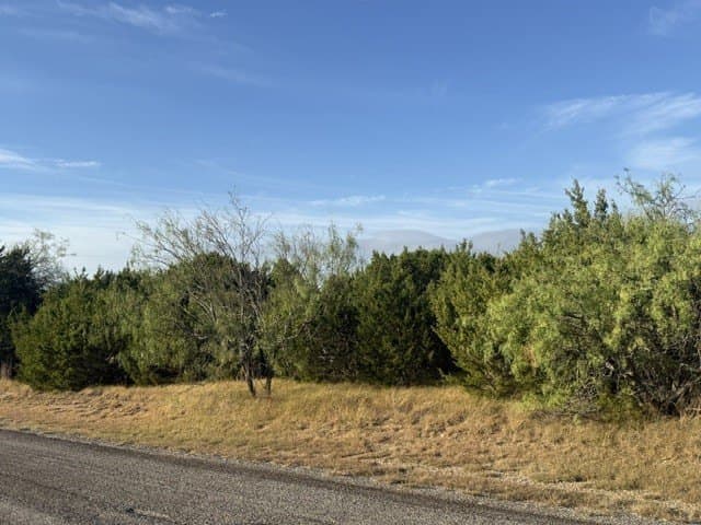 3.91 acres in Hill County - photo 2