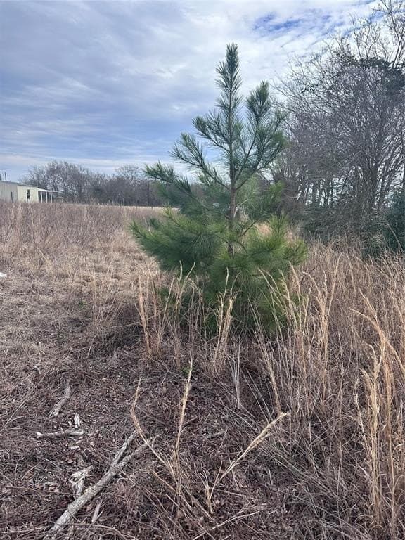 5.02 acres in Henderson County featured view