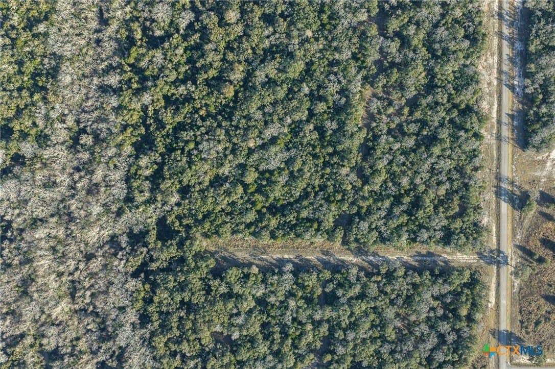 15.99 acres in Victoria County gallery image 3