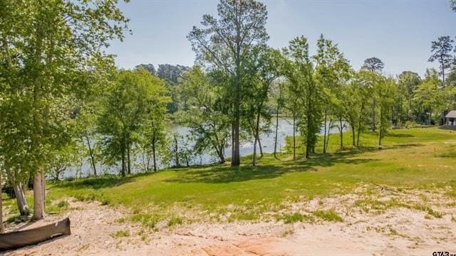 0.52 acres in Smith County - photo 2