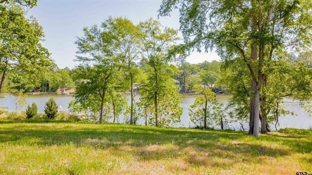 0.52 acres in Smith County - photo 21