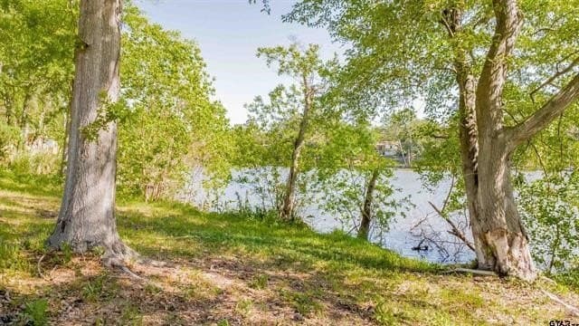 0.52 acres in Smith County - photo 24