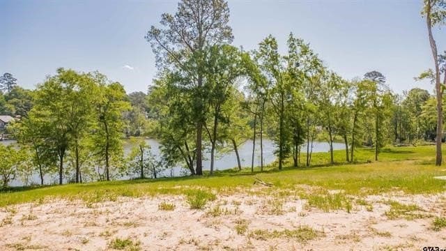 0.52 acres in Smith County - photo 32