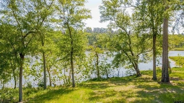 0.52 acres in Smith County - photo 29