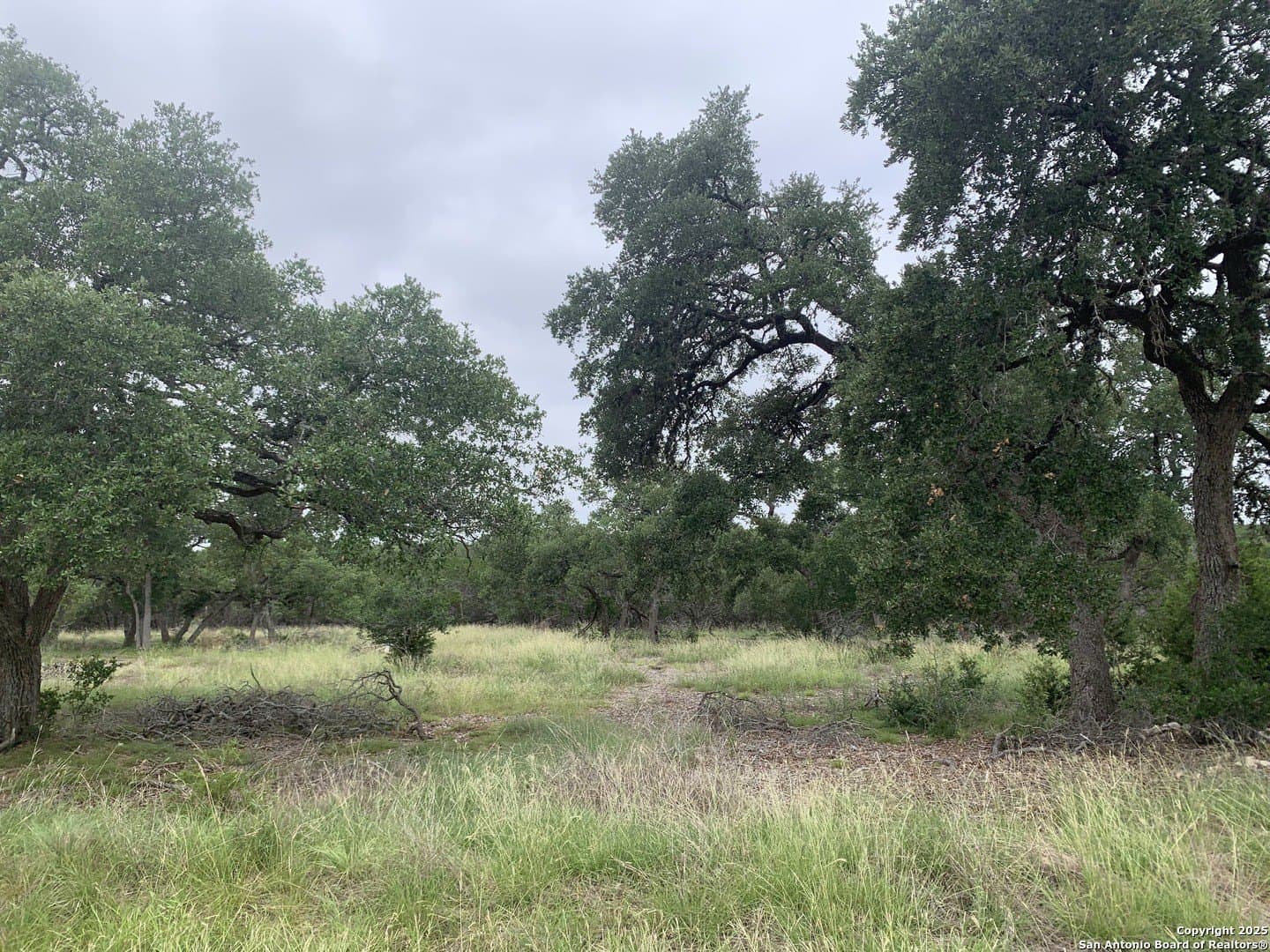 1.21 acres in Comal County gallery image 3