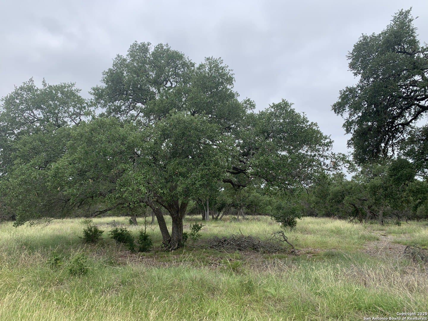 1.21 acres in Comal County gallery image 4