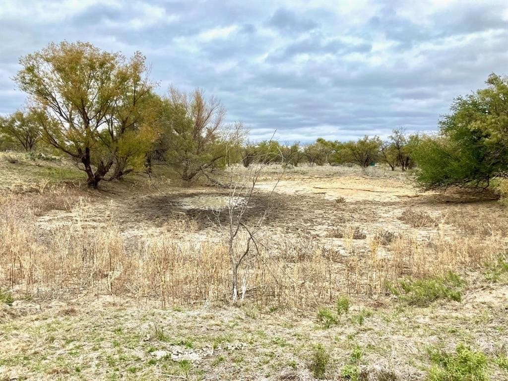 25 acres in Shackelford County gallery image 3