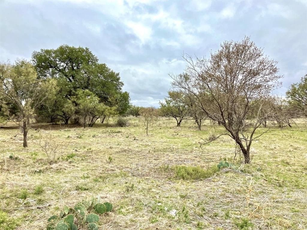 25 acres in Shackelford County gallery image 2