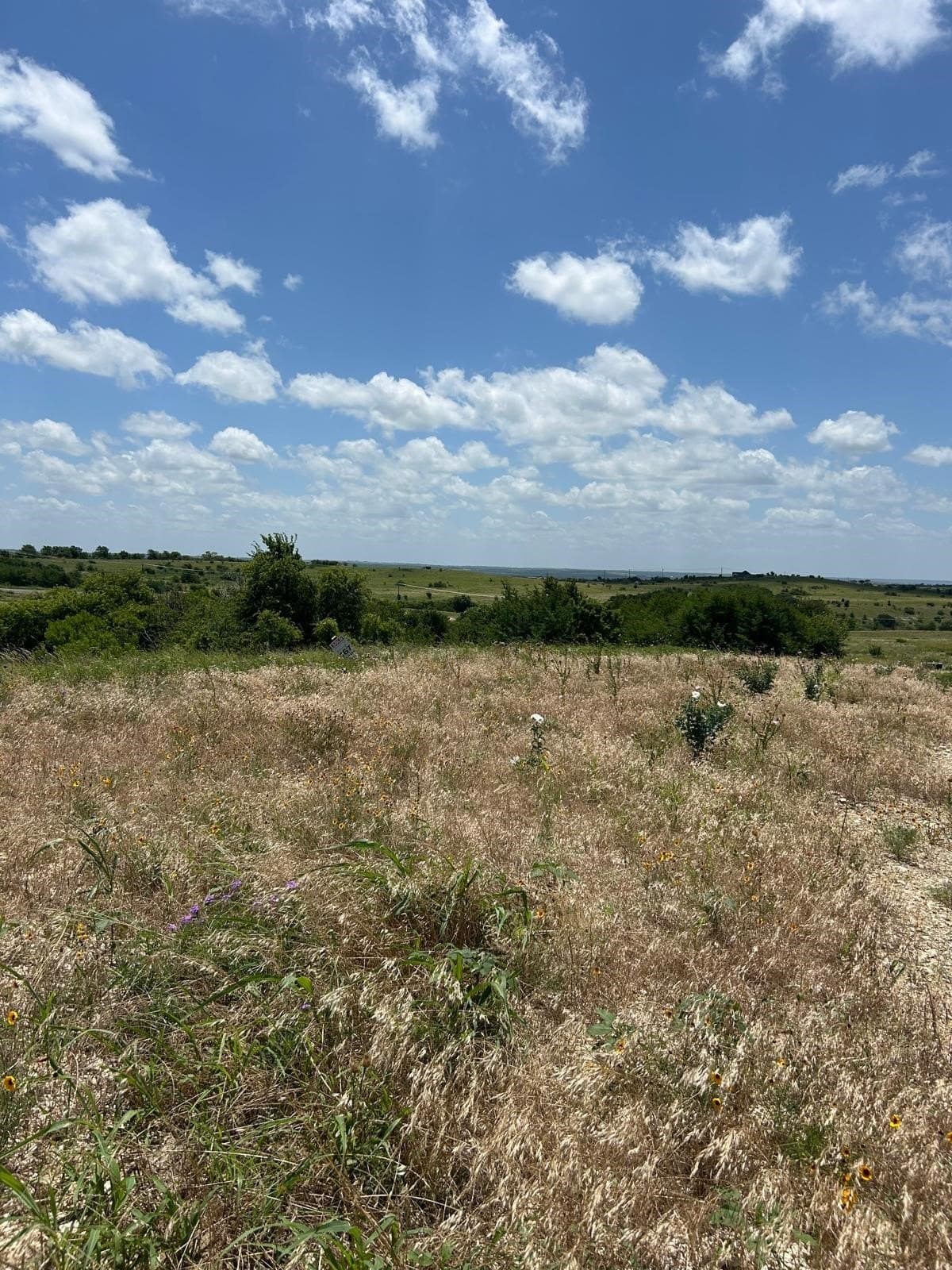 2.19 acres in Hood County - photo 7