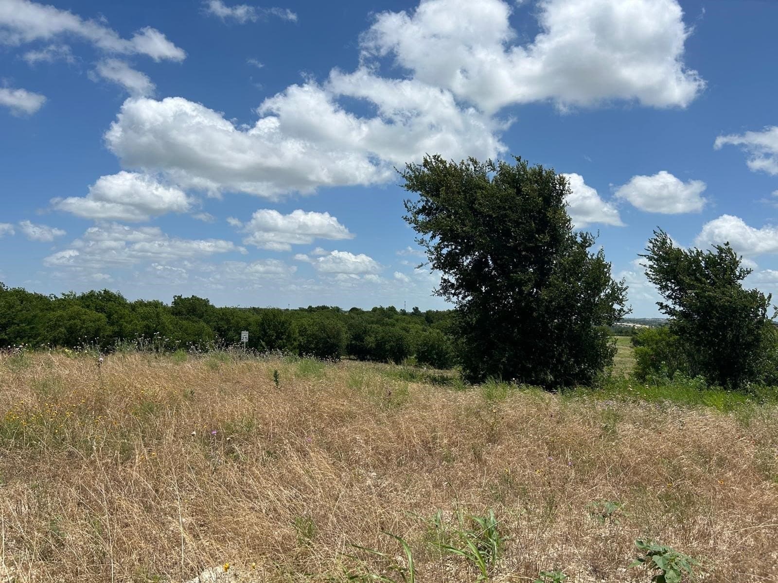 2.19 acres in Hood County - photo 9