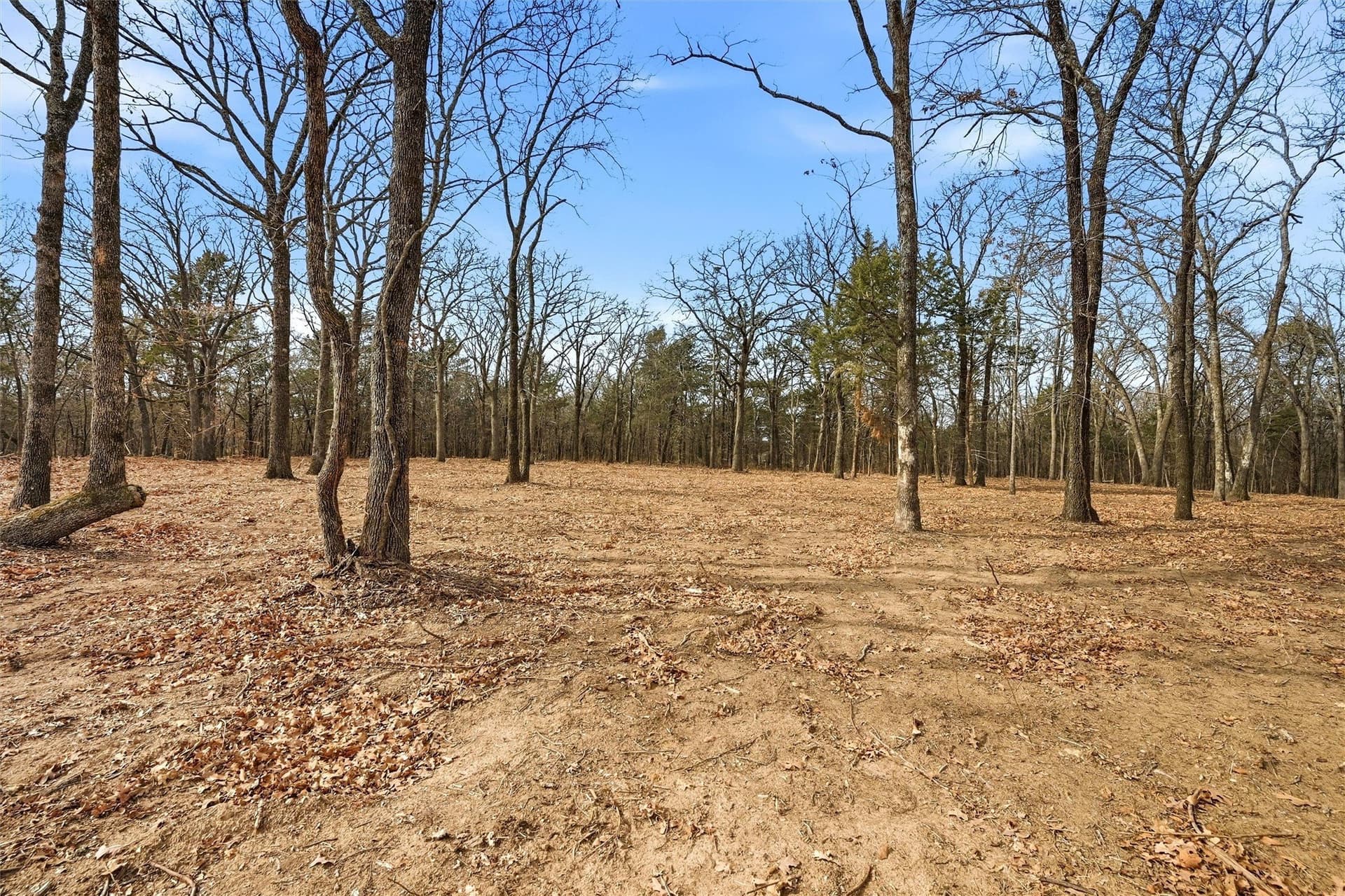 1 acres in Grayson County - photo 10