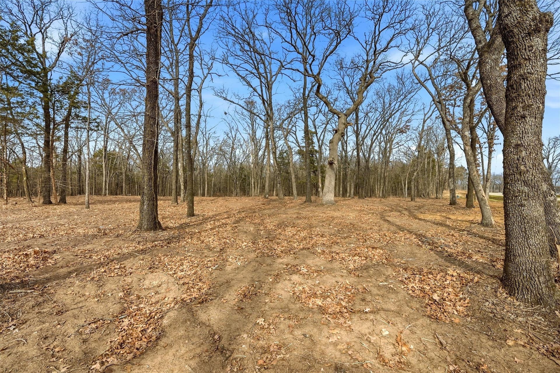1 acres in Grayson County - photo 11