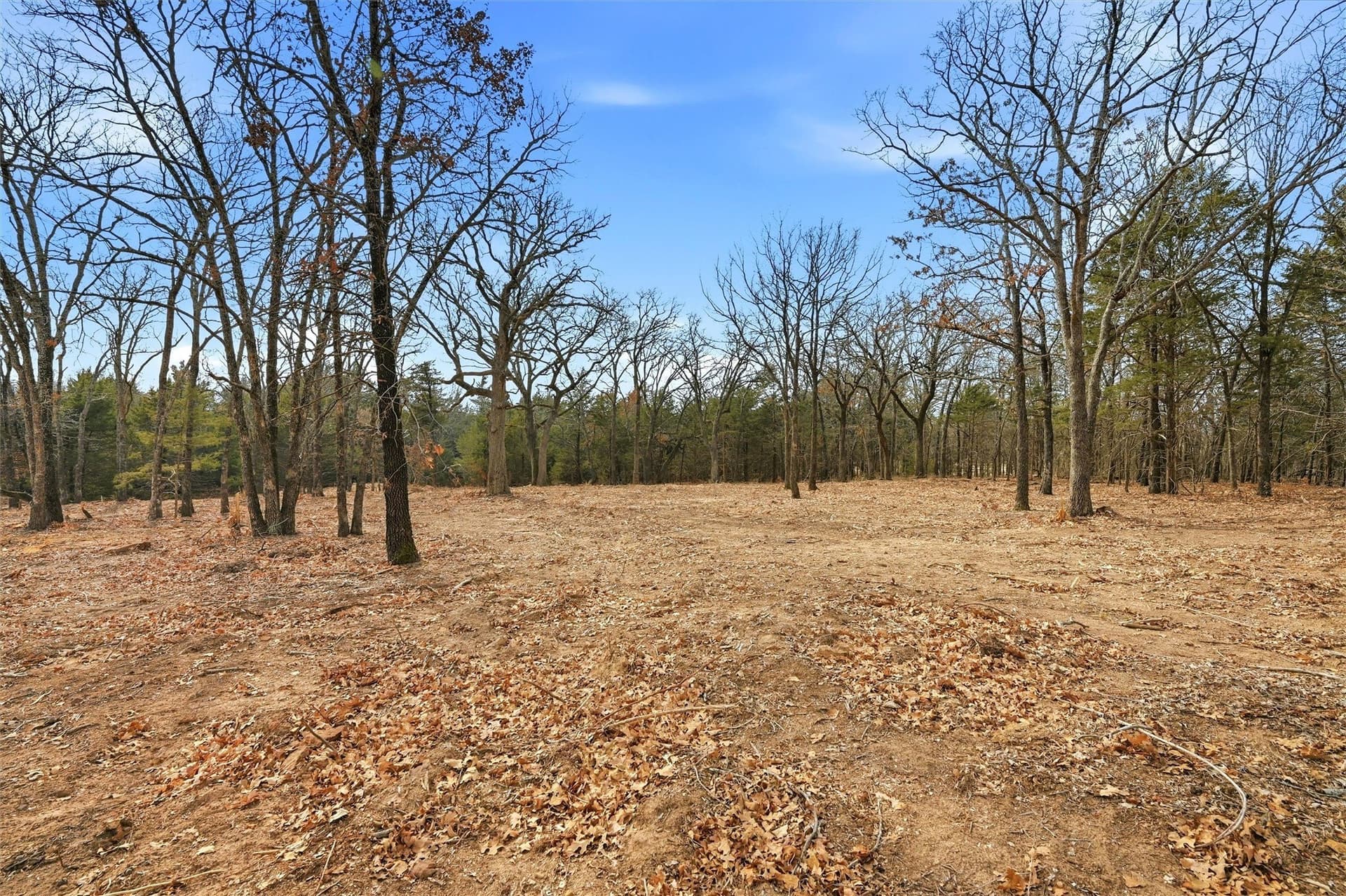 1 acres in Grayson County - photo 8