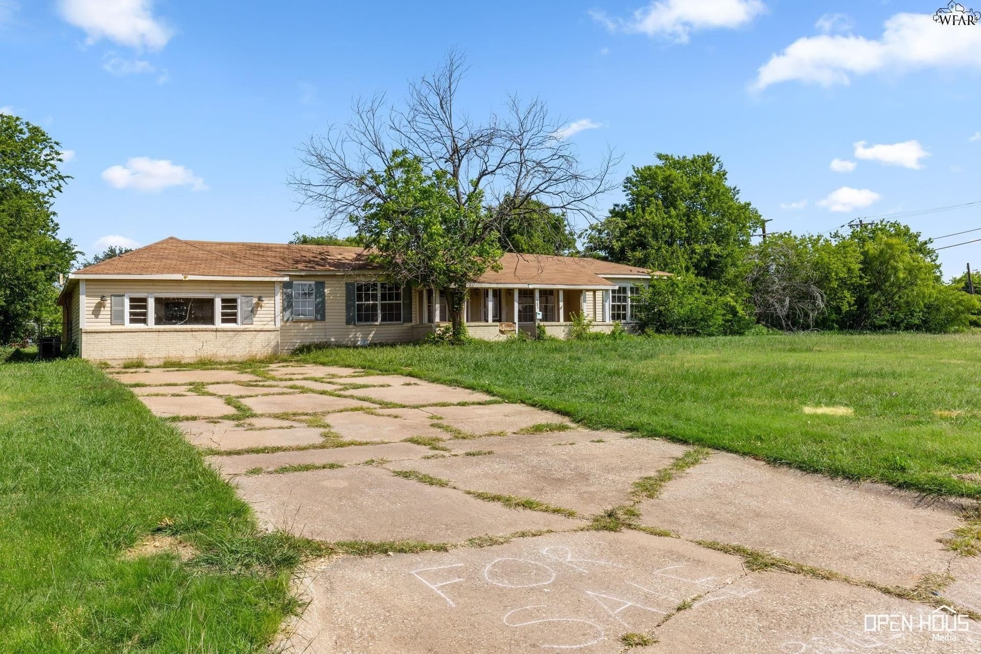 57 acres in Wichita County gallery image 3