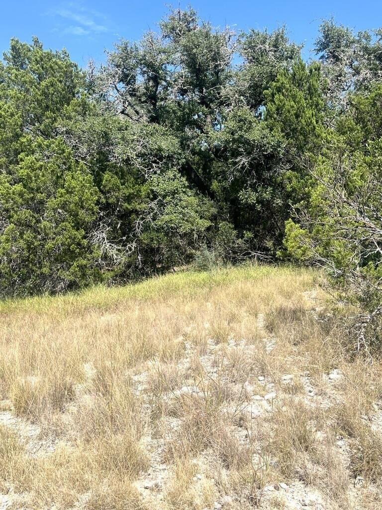 6.46 acres in Uvalde County - photo 26